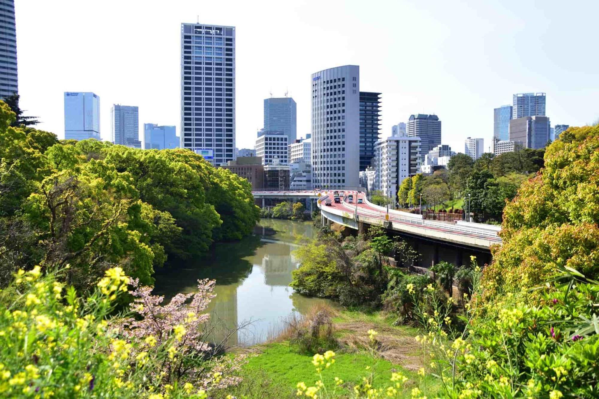 西新宿エリア * 東京都